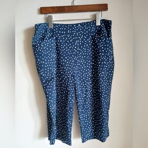 Susan Graver Capri Polka Dot Pants Size 14